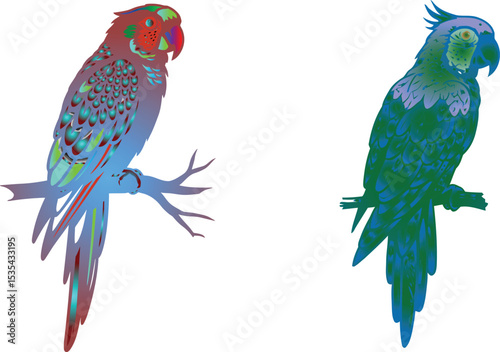 Two colorful tropical parrots, including a macaw and a parakeet, perch on a branch, captured in a vibrant wildlife photo.