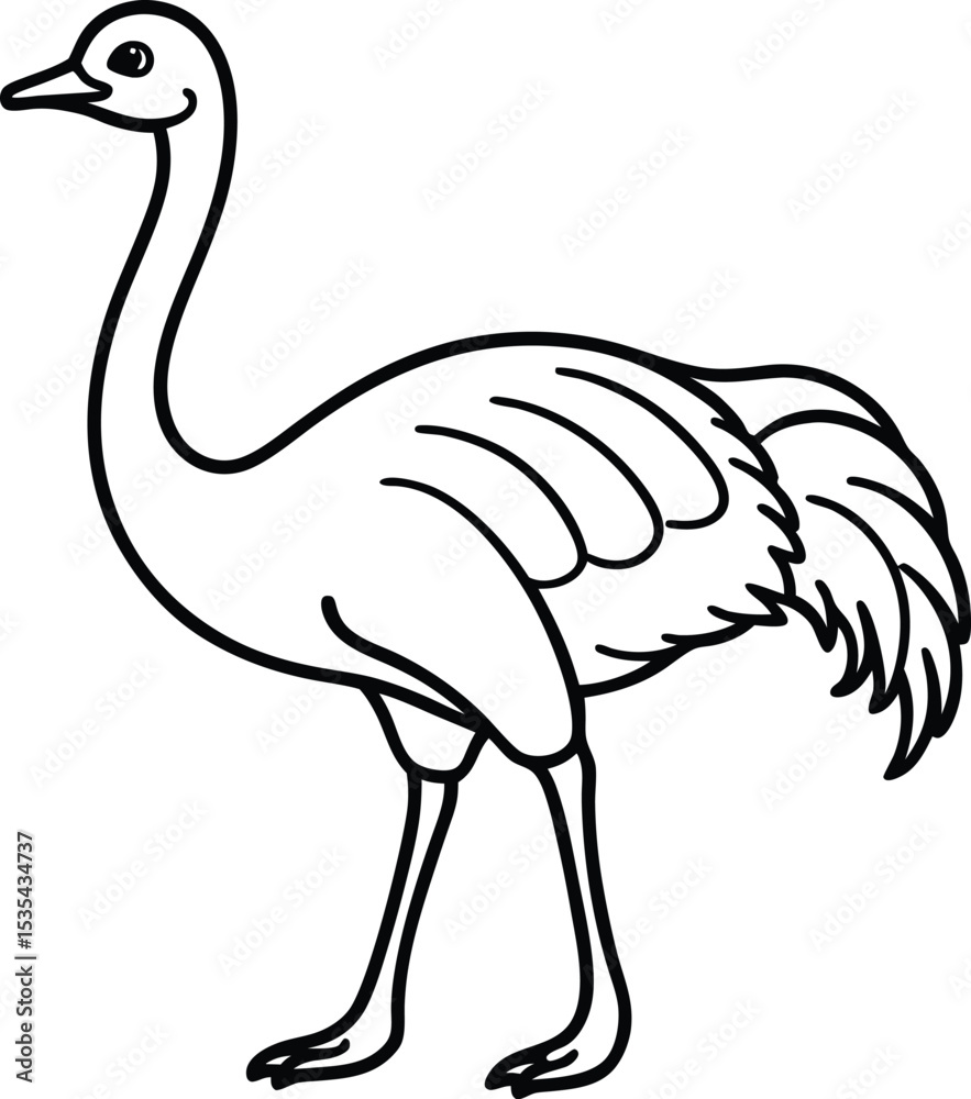 Fototapeta premium vector illustration of an ostrich