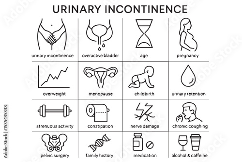 Urinary Health, Menopause, Overweight, Childbirth, Nerve Damage, Strenuous Activity, Medication and More Icon Set