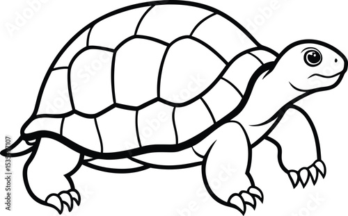 turtle vector illustration