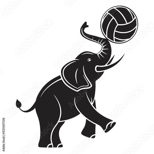 Black and white elephant balancing a volleyball with its trunk isolated on white background