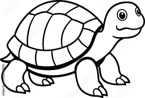 turtle vector illustration