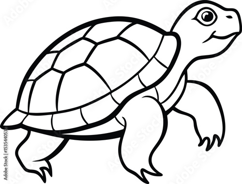 turtle vector illustration