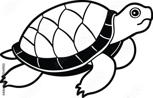 turtle vector illustration