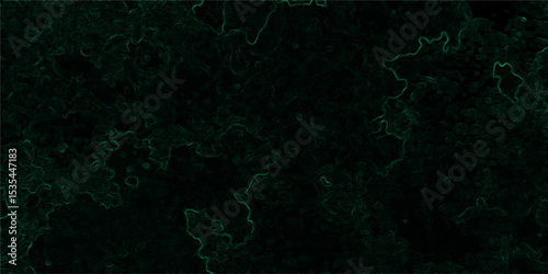 Abstract dark, organic texture featuring faint, glowing green lines tracing vein-like or neural pathways over a deep black background.  Microscopic biological network, smoke tendrils, energy flowing 