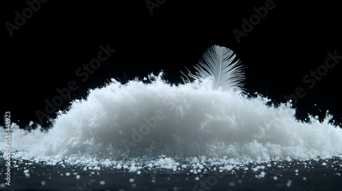 Close-up of a single white feather nestled in a pile of fluffy white down, set against a stark black background.  The image evokes softness, lightness, and natural warmth.
