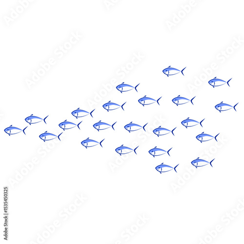 School Fish