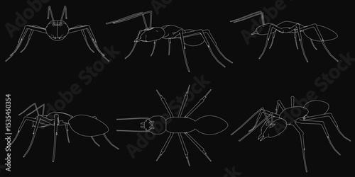 Six black ants arranged in a symmetrical pattern on a dark background, each with unique shapes and sizes. The stark contrast of white outlines against black makes the insects stand out clearly.