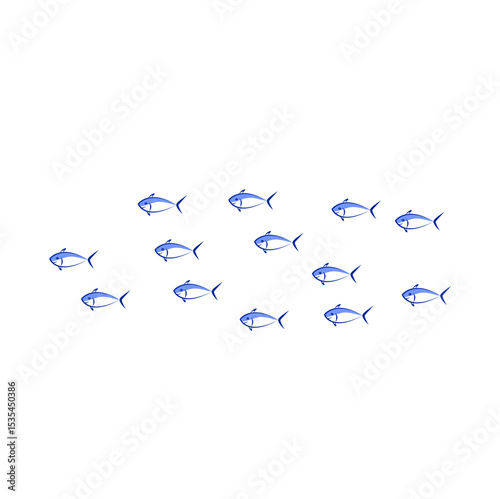 School Fish