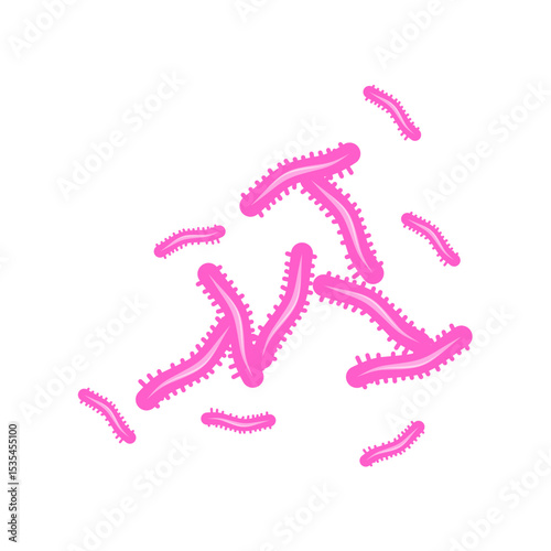 Tuberculosis Bacteria 