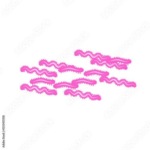 Tuberculosis Bacteria 