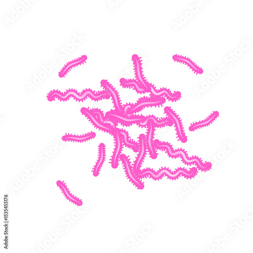 Tuberculosis Bacteria 