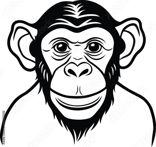 Chimpanzee black silhouette on white background 
