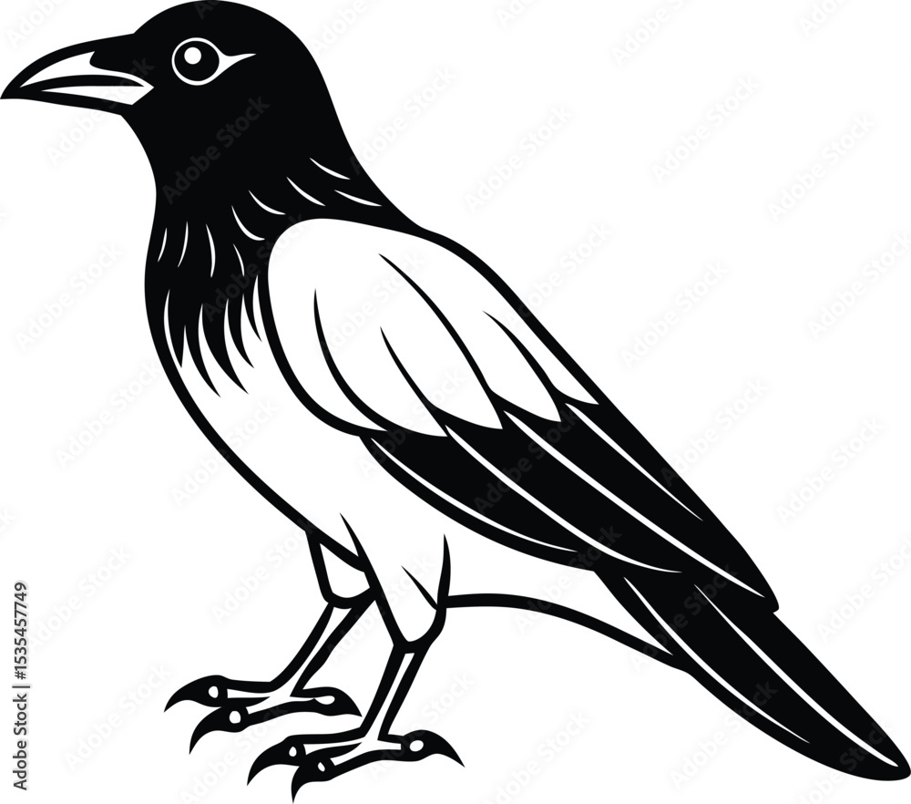 Obraz premium Crow black silhouette on white background 