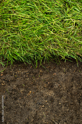 landscaping, rolling and laying of l natural awns