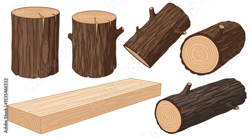 Types of Wood for Construction and Crafting Properties and Characteristics of Woods