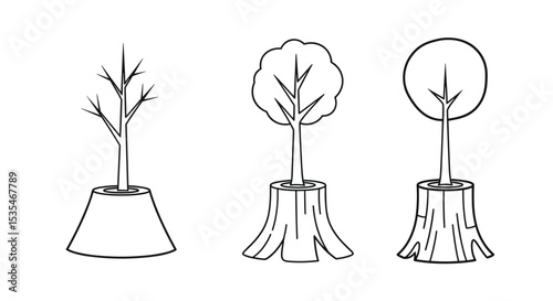 Illustrations Depicting Tree Growth Stages With Tree Stumps and Emerging Plants From Ground