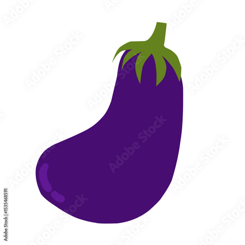 eggplant vector illustration