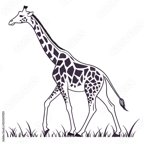 Elegant black and white outline illustration of a walking giraffe in simple grass