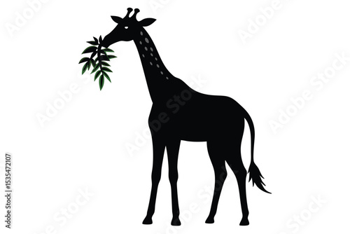 Silhouette of a giraffe enjoying green foliage against a white background perfectly