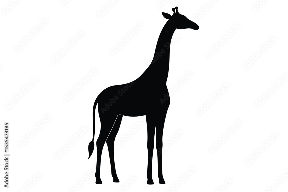 Fototapeta premium Giraffe Silhouette Isolated on White Background
