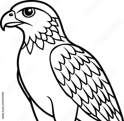 Hawk  black silhouette on white background 
