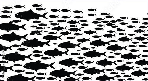 Large School Of Fish Moving In Formation Black And White