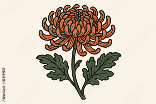 Japanese chrysanthemum illustration in a vintage woodblock print style. Traditional kiku flower, a symbol of Japan. Botanical vector art isolated on a background. Ukiyo-e design.