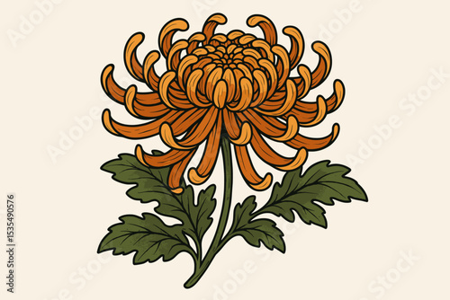 Elegant orange Japanese chrysanthemum illustration. Vintage botanical drawing in a traditional ukiyo-e woodblock print style. Isolated floral element with detailed petals and leaves.
