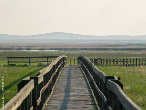 Boardwalk Through the Wetlands — Montana Prairie Morning