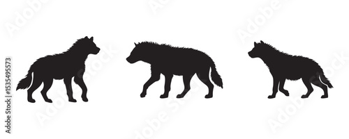 Silhouettes of three wild canines in side view, including a hyena and wolf-like figures, isolated on white background for animal comparison or design use