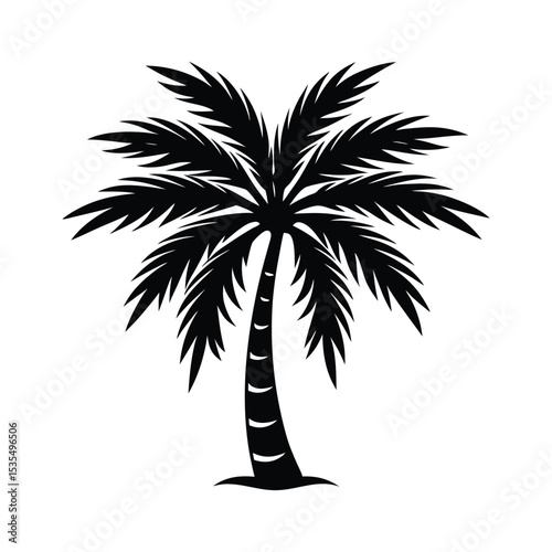 102 vactor coconut tree nice Island Vibes Graceful Coconut Palm