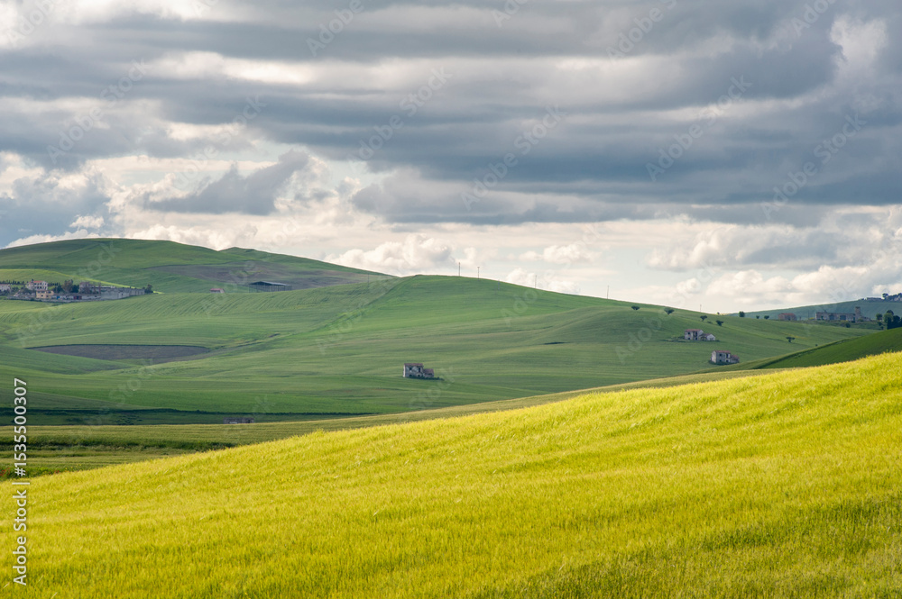 Obraz premium Alta Murgia, panorama del parco con prato , cielo azzurro, nuvole, casolari. Orizzonte delle verdi colline in Puglia, natura Italia.