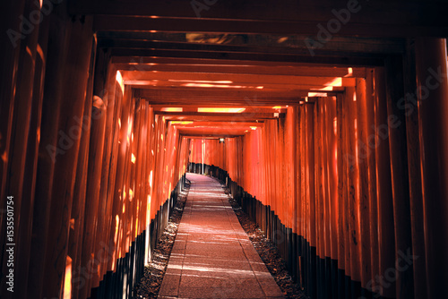 Cammino spirituale sotto i torii di Fushimi Inari