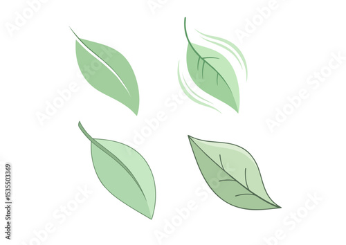 Gentle leaf floating downward with clean curves and soft pastel green tone, an abstract metaphor of serenity on white background