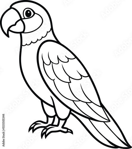 vector illustration of a parrot