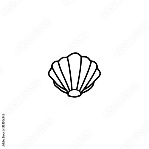 sea shell isolated on white