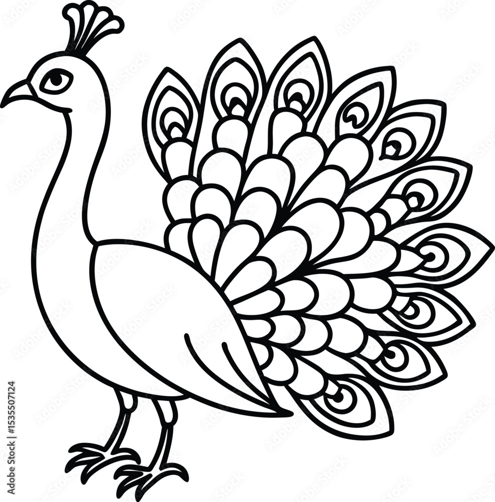 Fototapeta premium vector illustration of a peacock