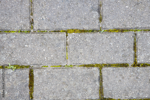 Close-Up of Stone Pavement With Grass and Moss Detail