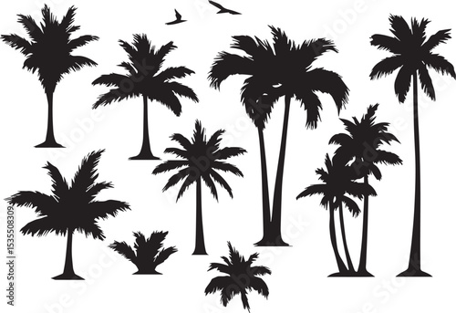 Coconut Tree silhouette Vector | Minimalist & Trendy Coconut Tree Silhouette Design | Unique & Stylish Coconut Tree Artwork for Vector design