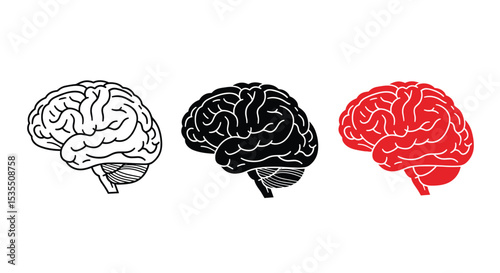Exploring the Multifaceted Brain Structure Function and Cognitive Processes for Understanding Behavior