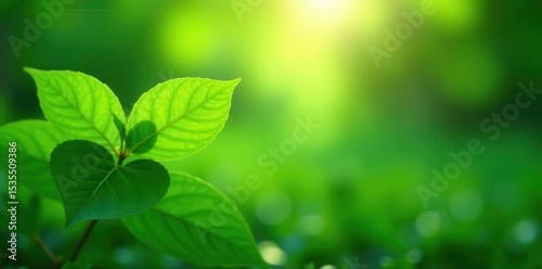 Emerald green leaves, soft light, tranquil setting, nature, illustration