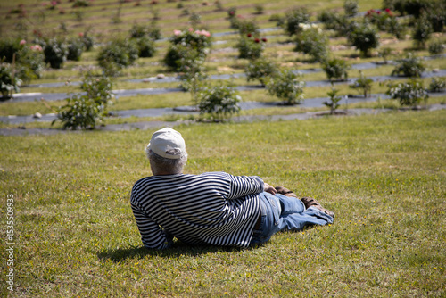 Man Relaxing on Grass Facing a Flower Field in Daylight