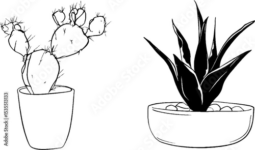 Minimalistic line art set featuring cactus and succulent in decorative pots