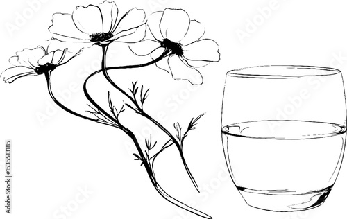 Minimalist line art collection featuring calming balm and botanical elements
