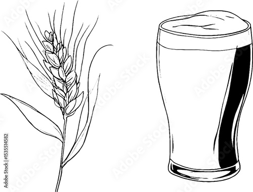 Line art illustration of dark stout glass with barley grain for breweries and design
