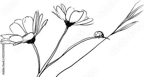 Delicate line art of daisy chain and ladybug for nature inspired designs