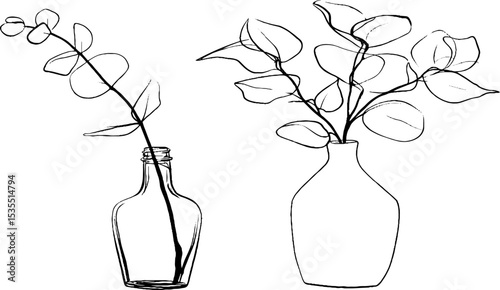 Minimalist line art of eucalyptus branches in glass vases for decoration designs