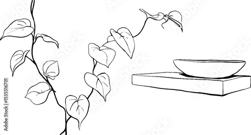 Elegant line art of pothos vine and decorative plate for interior design