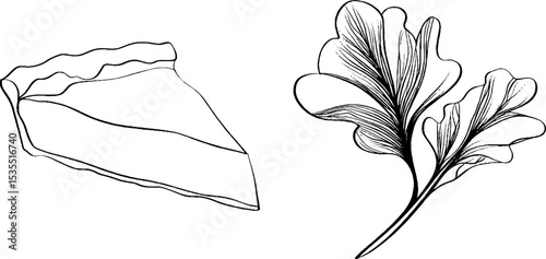 Line art illustration set featuring quiche slice and herb design for culinary themes